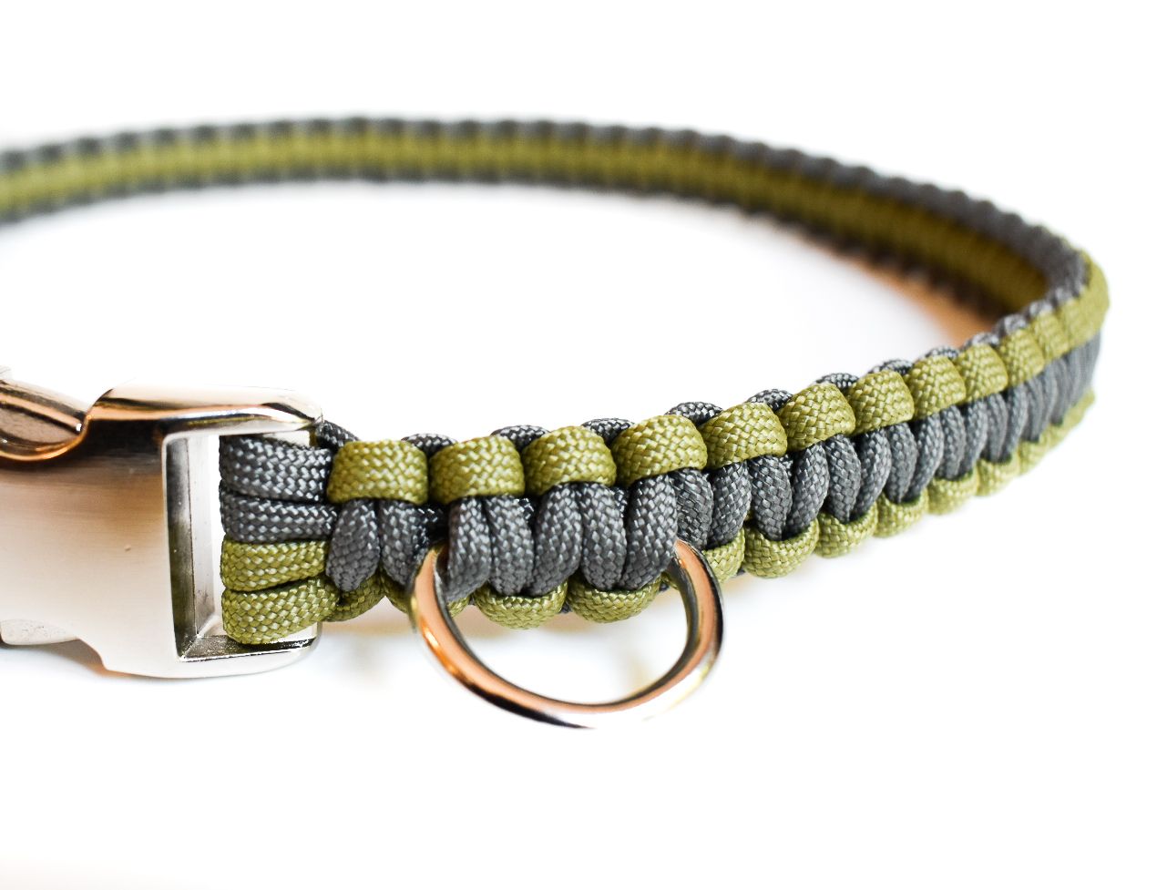 Buckle Collar- Custom Two-Tone