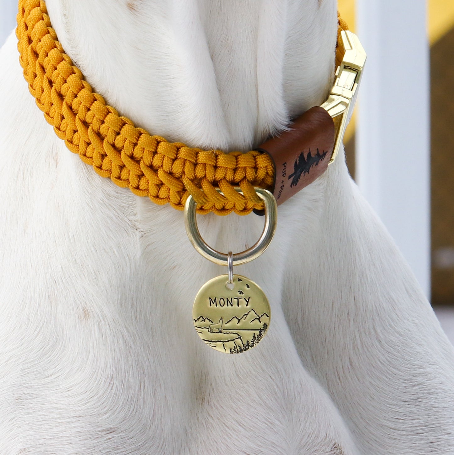 Wide Buckle Collar - Sunnybrook Yellow