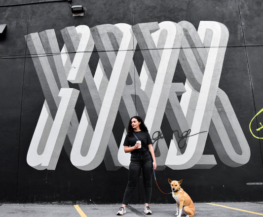 Hands-Free Leash - Riverdale Rust