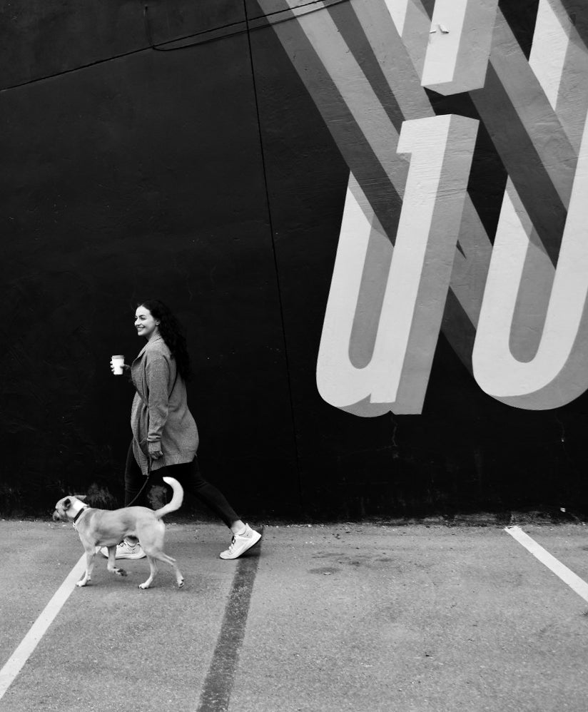 Hands-Free Leash - Stanley Park Periwinkle