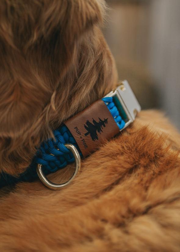 Wide Buckle Collars (Pre-Made Sizes)