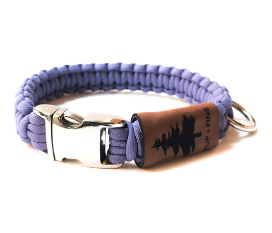 Buckle Collar - Stanley Park Periwinkle