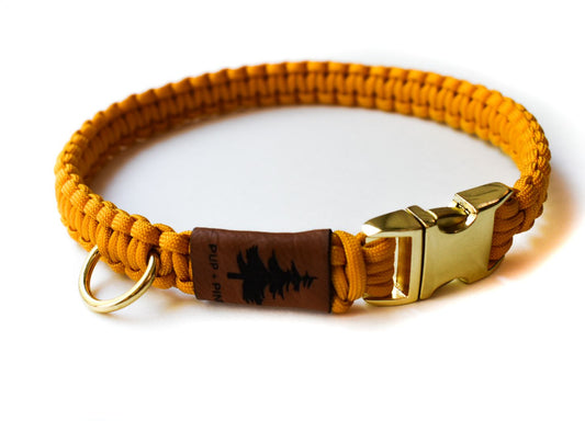 Buckle Collar - Sunnybrook Yellow