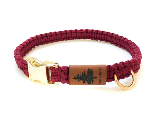 Buckle Collar - Bellwoods Burgundy