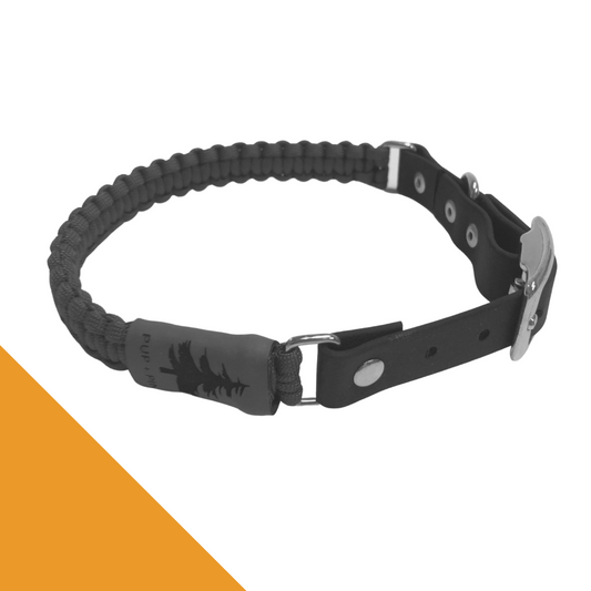 Adjustable Buckle Collar - Sunnybrook Yellow