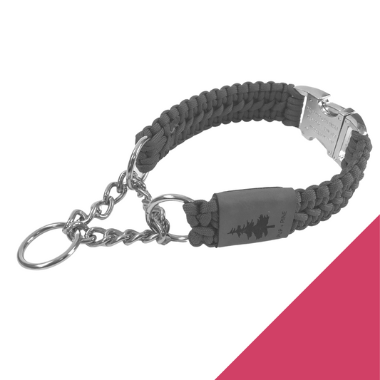 Wide Martingale Collar - High Park Pink