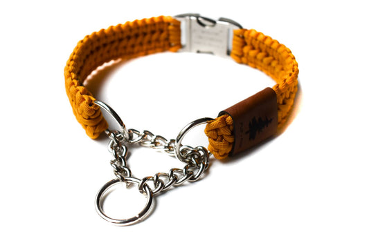 Wide Martingale Collar - Sunnybrook Yellow