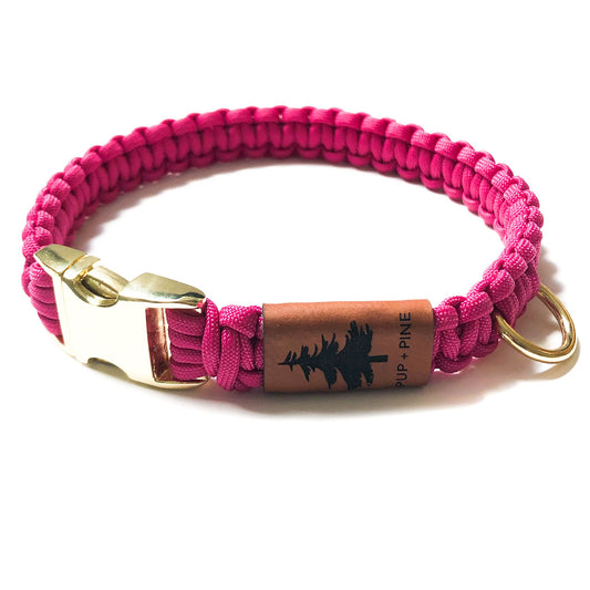 Buckle Collar - High Park Pink