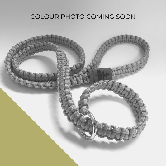 Slip Leash - Allan Gardens Green