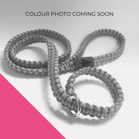 Slip Leash - High Park Pink