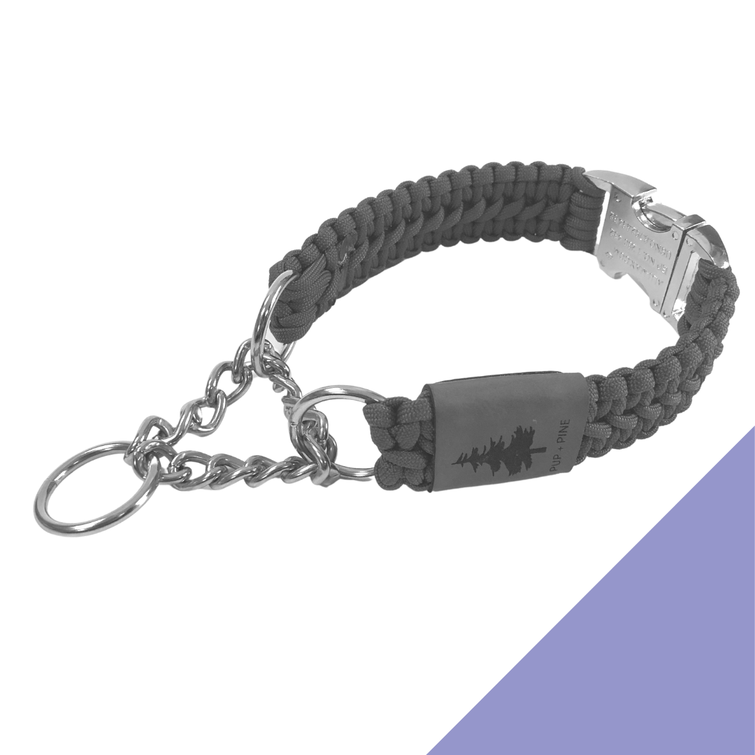 Wide Martingale Collar - Stanley Park Periwinkle