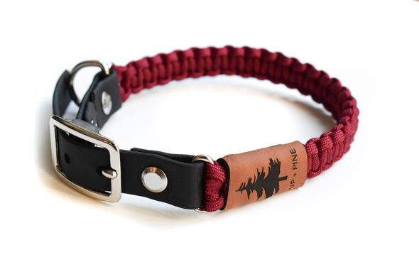 Adjustable Buckle Collars (Pre-Made Sizes)