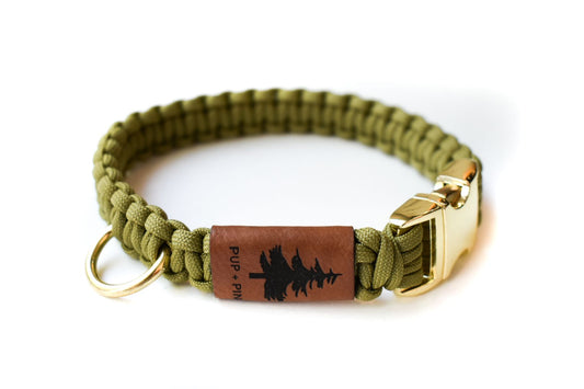 Buckle Collar - Allan Gardens Green