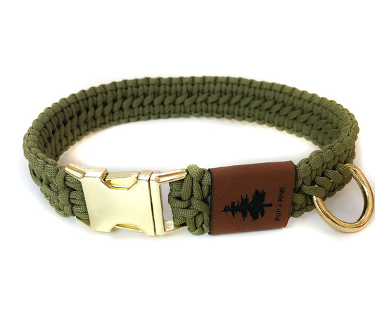 Wide Buckle Collar - Allan Gardens Green